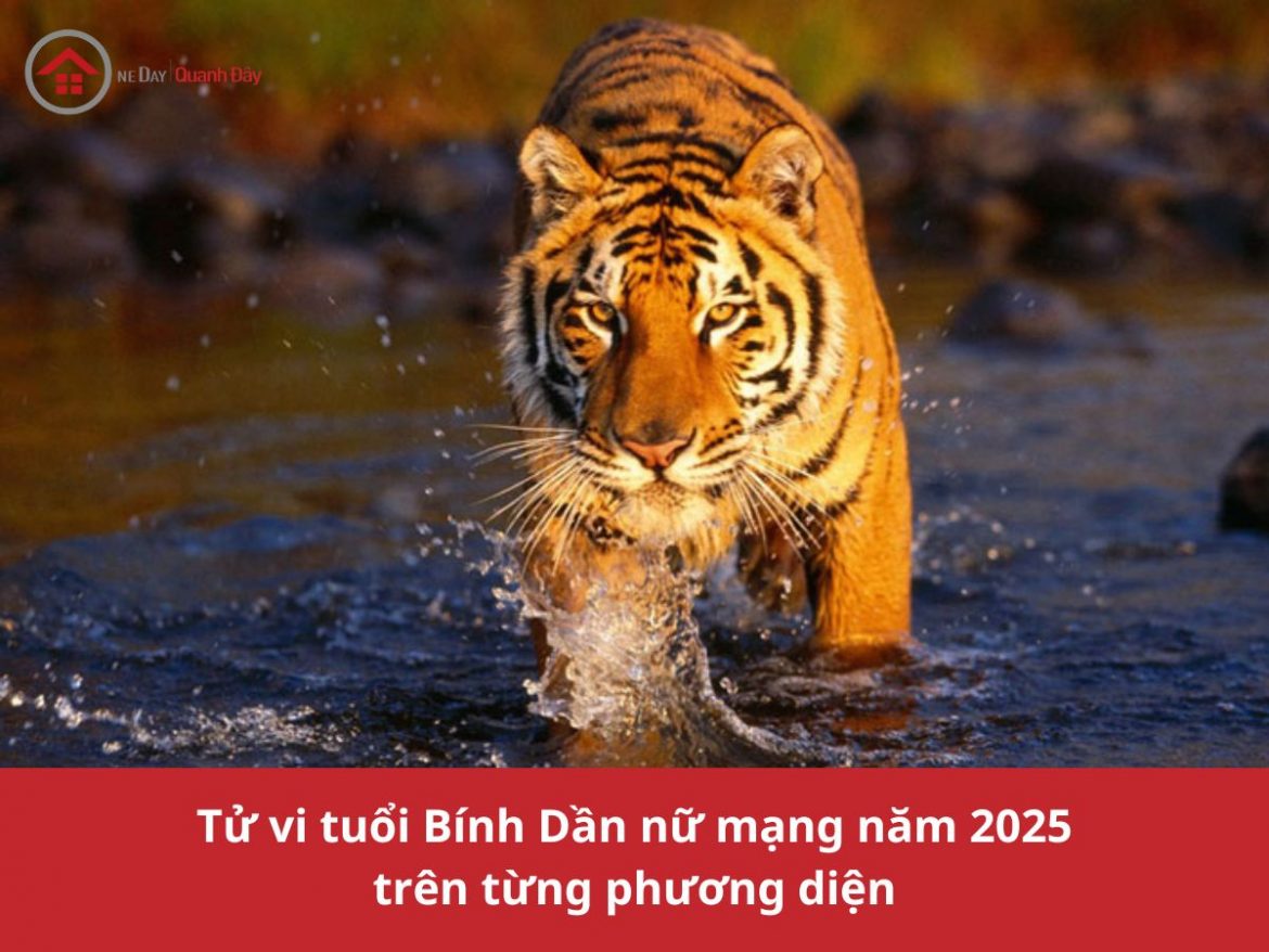 Tử vi nữ Bính Dần 1986 năm 2025 đầy đủ