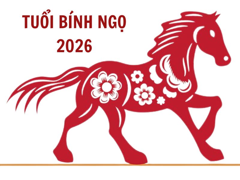 Tử vi nữ Bính Thân 2016 năm 2026 chi tiết