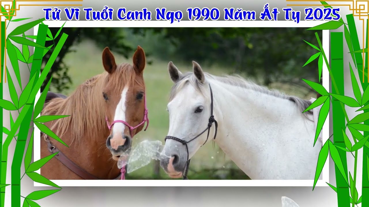 Tử vi tuổi Giáp Ngọ 2014 nữ mạng năm 2025