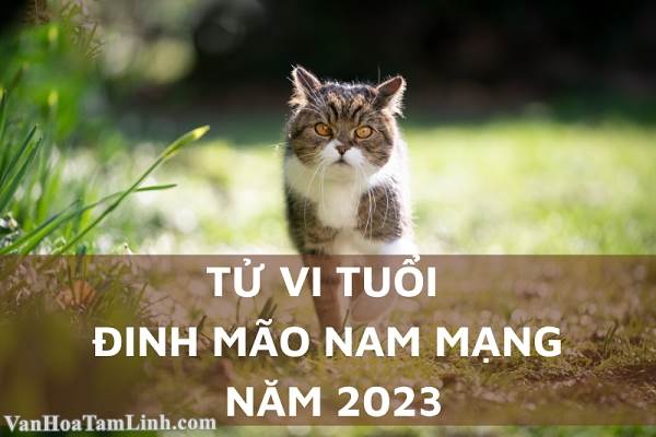 Tử Vi Tuổi Đinh Mão 1987 Nam Mạng Năm 2026: Dự Báo Vận Mệnh, Tài Lộc & Chuyển Biến Cuộc Đời Tử vi Đinh Mão 1987 nam mạng năm 2026
