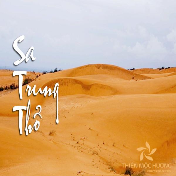 Lá số tử vi tuổi Đinh Tỵ 1977 nam mạng