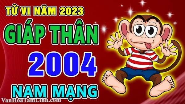 Tử vi nam Giáp Thân 2004 năm 2026 chi tiết