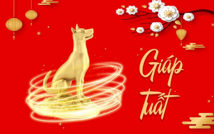 Luận giải tử vi tuổi Giáp Tuất 1994