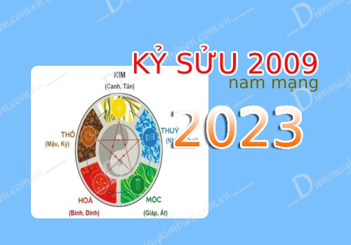 Tử vi nam Kỷ Sửu 2009 năm 2026 chi tiết