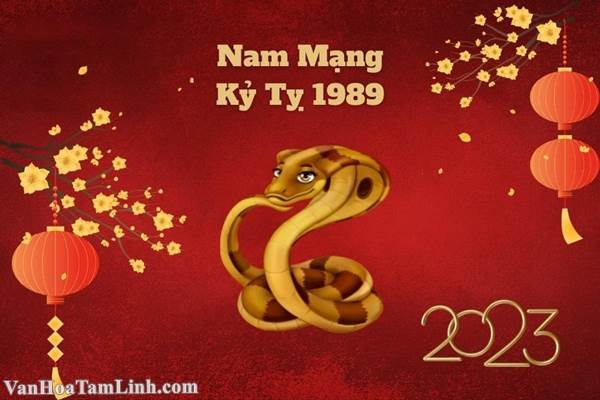 Tử vi nam mạng Kỷ Tỵ 1989 năm 2023