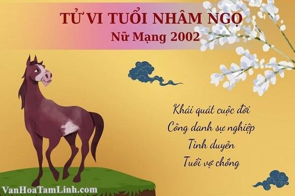 Tử vi nữ mạng Nhâm Ngọ 2002 năm 2023