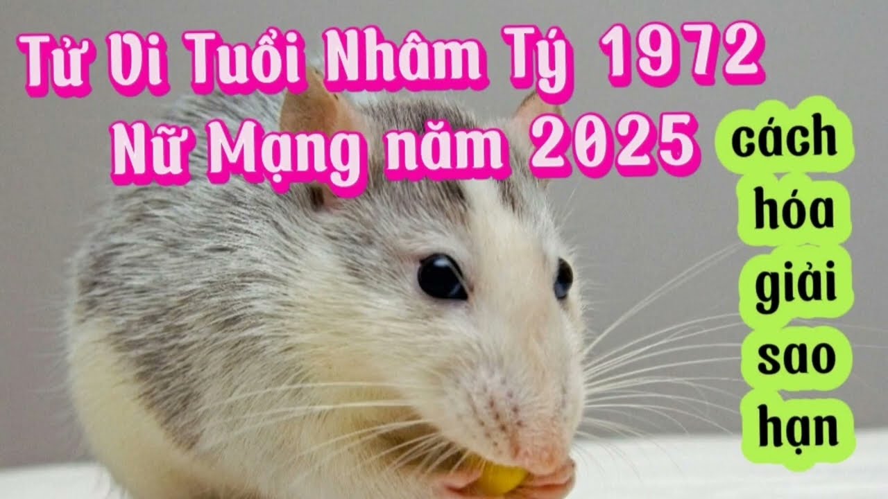 Tử vi tuổi Nhâm Tý 1972 nữ mạng năm 2025