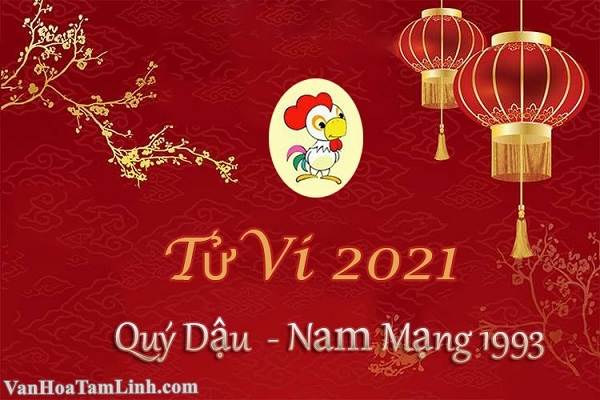 Tử vi tuổi Quý Dậu 1993 nam mạng năm 2026
