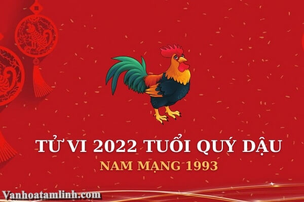 Tử vi tuổi Quý Dậu 1993 nam mạng năm 2026