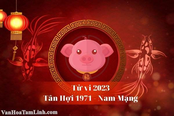 Tử vi tuổi Tân Hợi 1971 nam mạng năm 2026