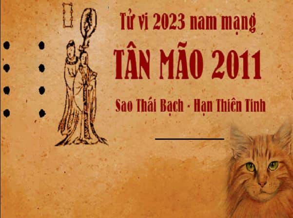 Tử vi tuổi Tân Mão 2011 nam mạng