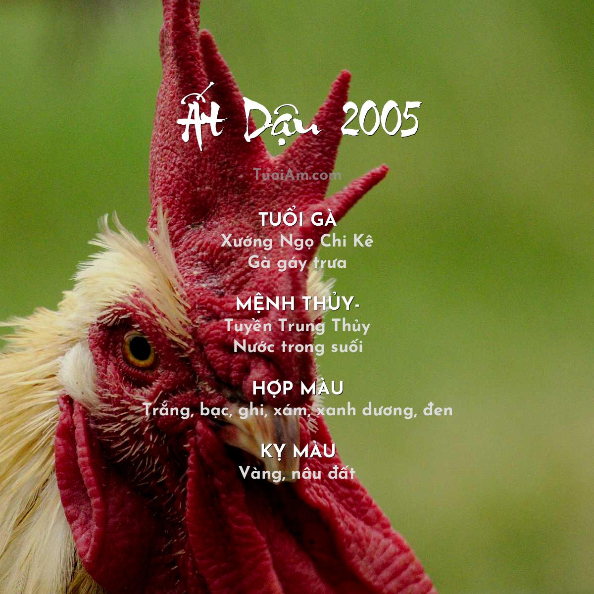 Nam nữ tuổi Ất Dậu 2005 phong thủy hợp mệnh