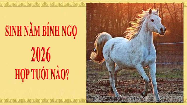 Giải mã tuổi Hợi hợp tuổi nào 2026: Góc nhìn thực tế, chuyên sâu và kinh nghiệm ứng dụng Tuổi Hợi 2026 hợp tuổi nào để làm ăn và kết hôn