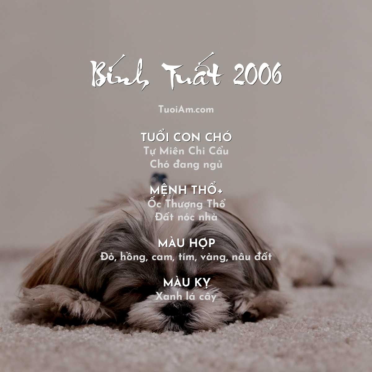 Tử vi và vận mệnh tuổi Bính Tuất 2006