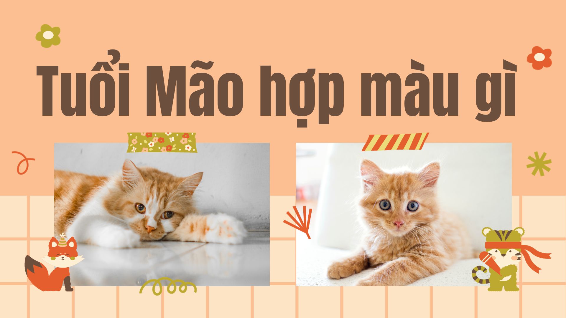Giải Mã Tuổi Mão Khắc Tuổi Nào: Hiểu Đúng Để Chọn Lựa Cuộc Sống Hài Hòa Tuổi Mão hợp và khắc với những tuổi nào