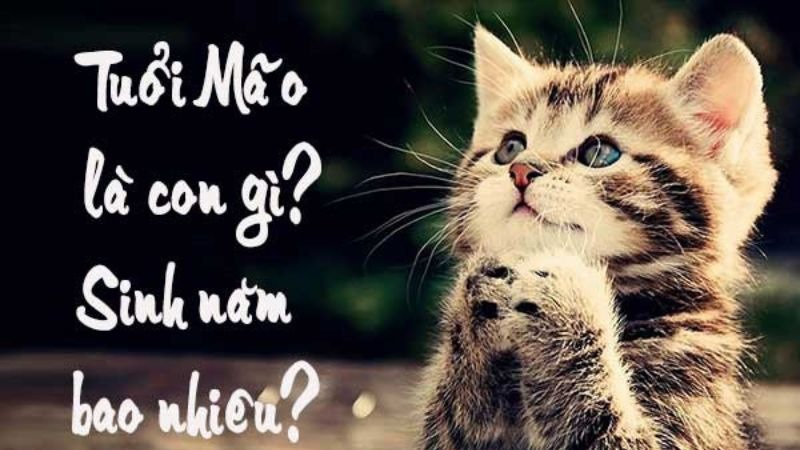 Tam hợp tuổi Mão mang lại may mắn và thành công