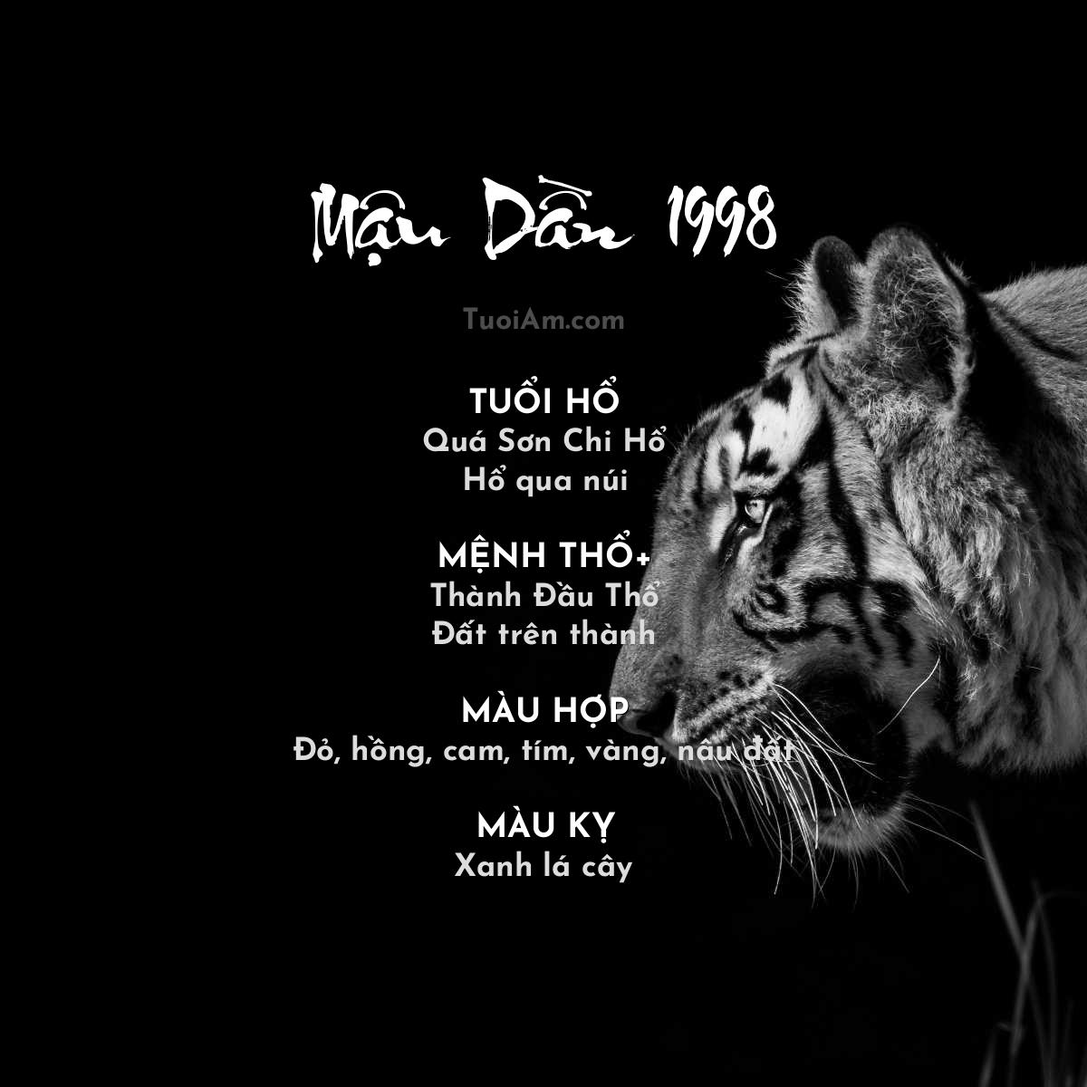 Tuổi Mậu Dần 1998 vận mệnh và phong thủy