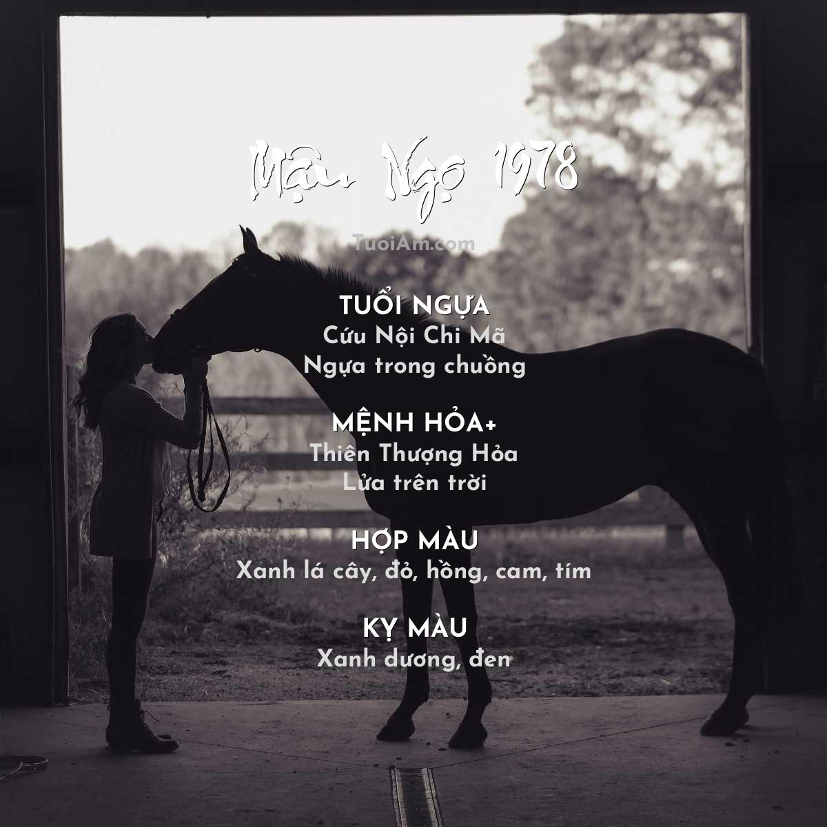 Tuổi Mậu Ngọ 1978 vận mệnh và phong thủy năm nay