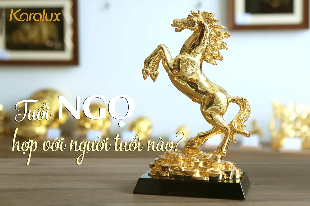 Giải Mã Tuổi Ngọ Khắc Tuổi Nào: Góc Nhìn Thực Tế Và Ứng Dụng Phong Thuỷ Trong Đời Sống Tuổi Ngọ xung khắc với tuổi nào trong tử vi