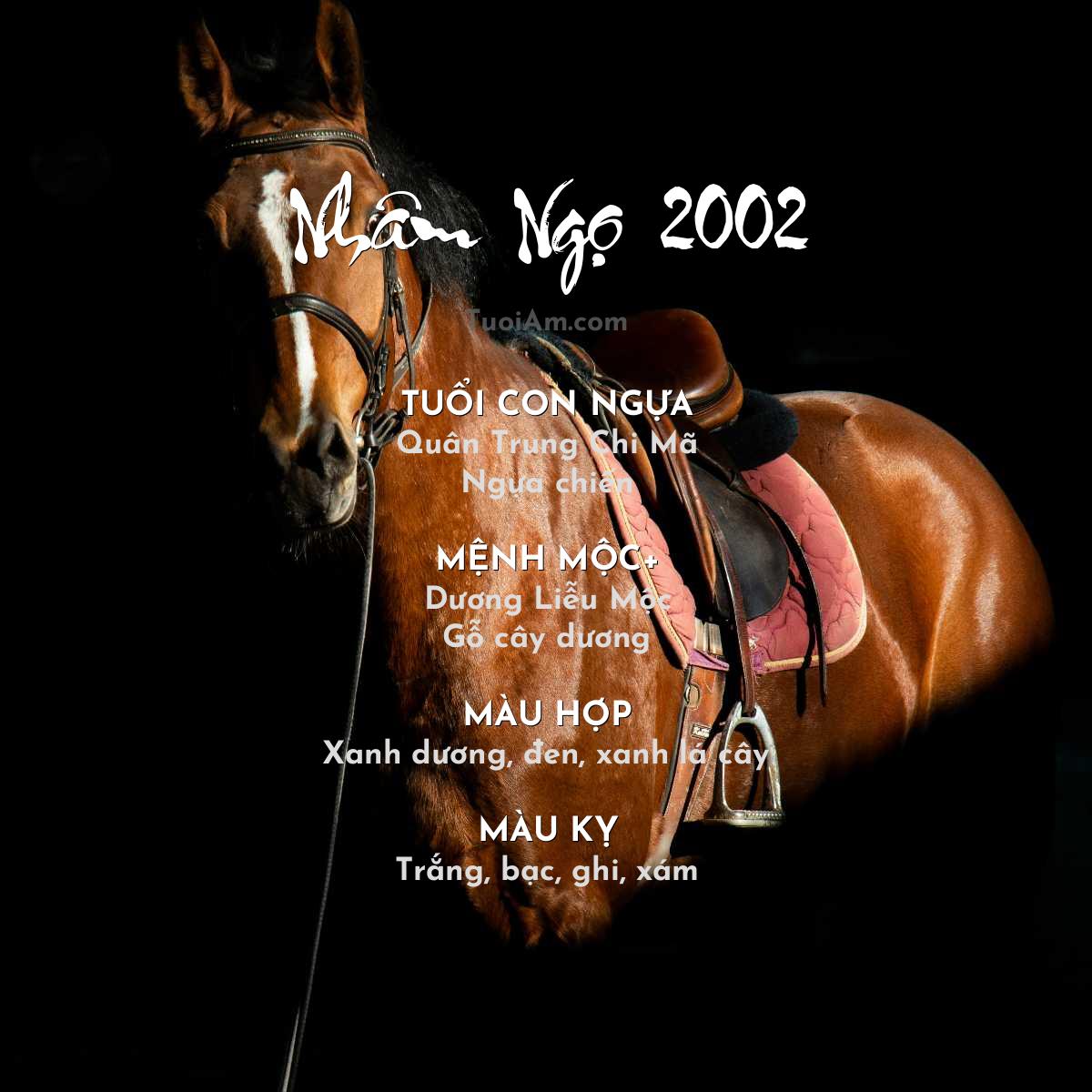 Tuổi Nhâm Ngọ 2002 vận mệnh và phong thủy