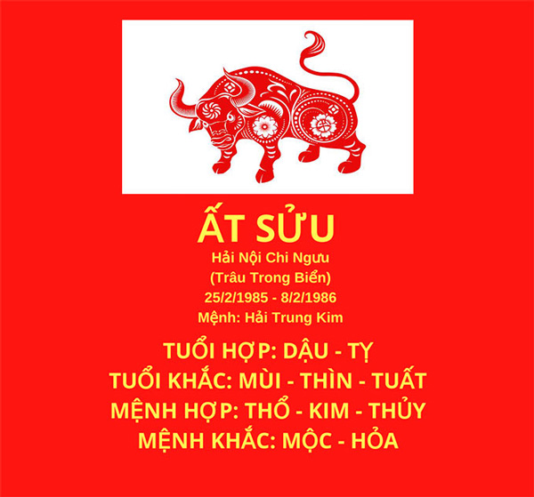 Giải mã tuổi Sửu khắc tuổi nào: Góc nhìn phong thủy, những điều cần tránh và cách hóa giải Tuổi Sửu khắc với tuổi nào trong phong thủy