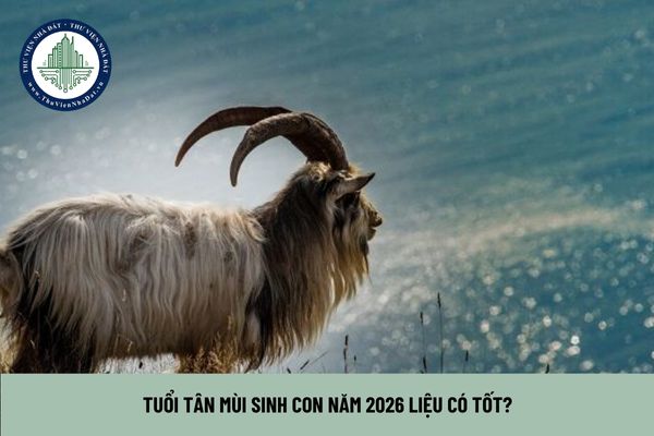 Tử vi tuổi Mùi năm 2026 dự báo vận mệnh