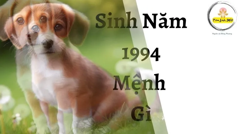 Nữ sinh 1994 mặc áo dài truyền thống Việt Nam