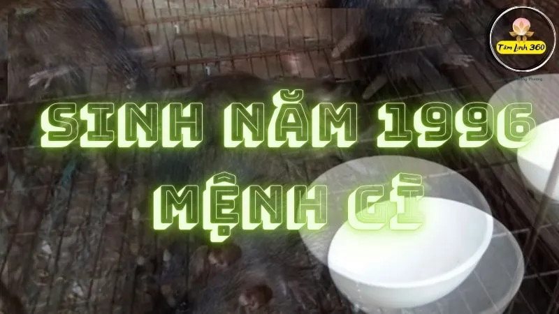 Bản đồ chiêm tinh Vệ Đà cho người sinh năm 1996
