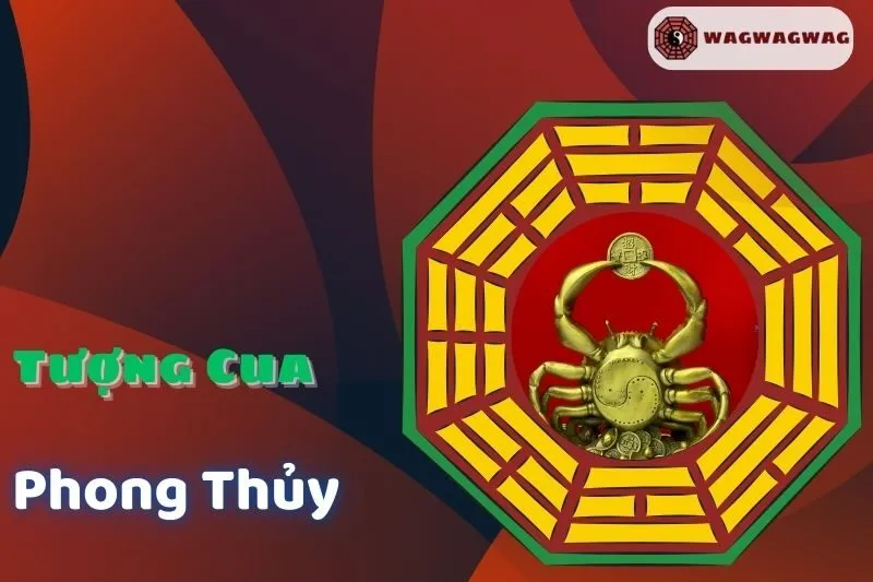 Giải thích phong thuỷ tên là gì chi tiết