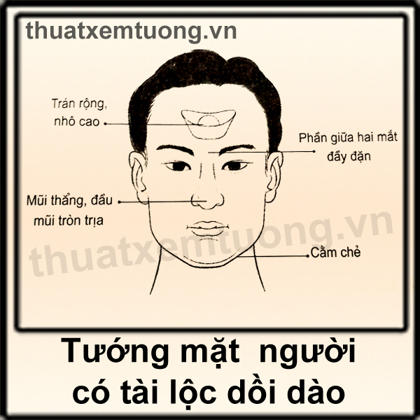 Tướng mặt người có tài lộc tốt