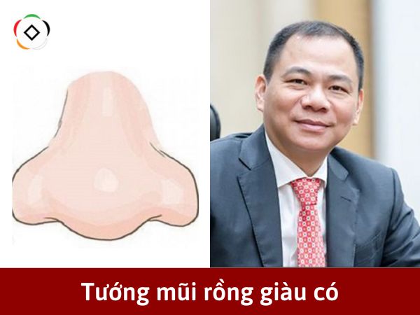 Tướng mũi giàu sang ở nam giới