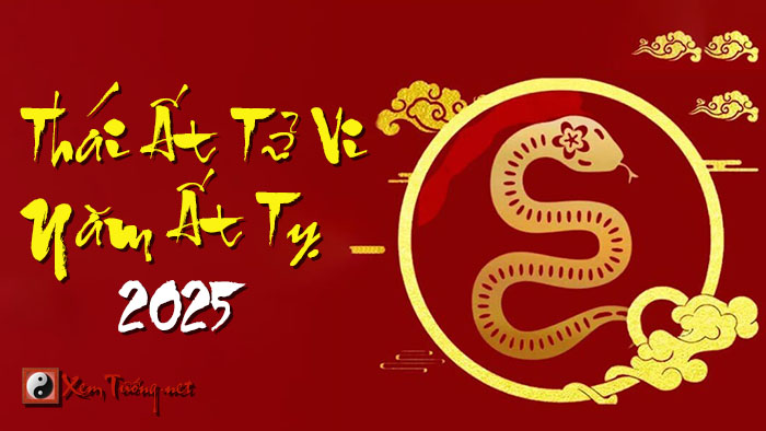 Tử vi tuổi Canh Tý 1960 nữ mạng năm 2025