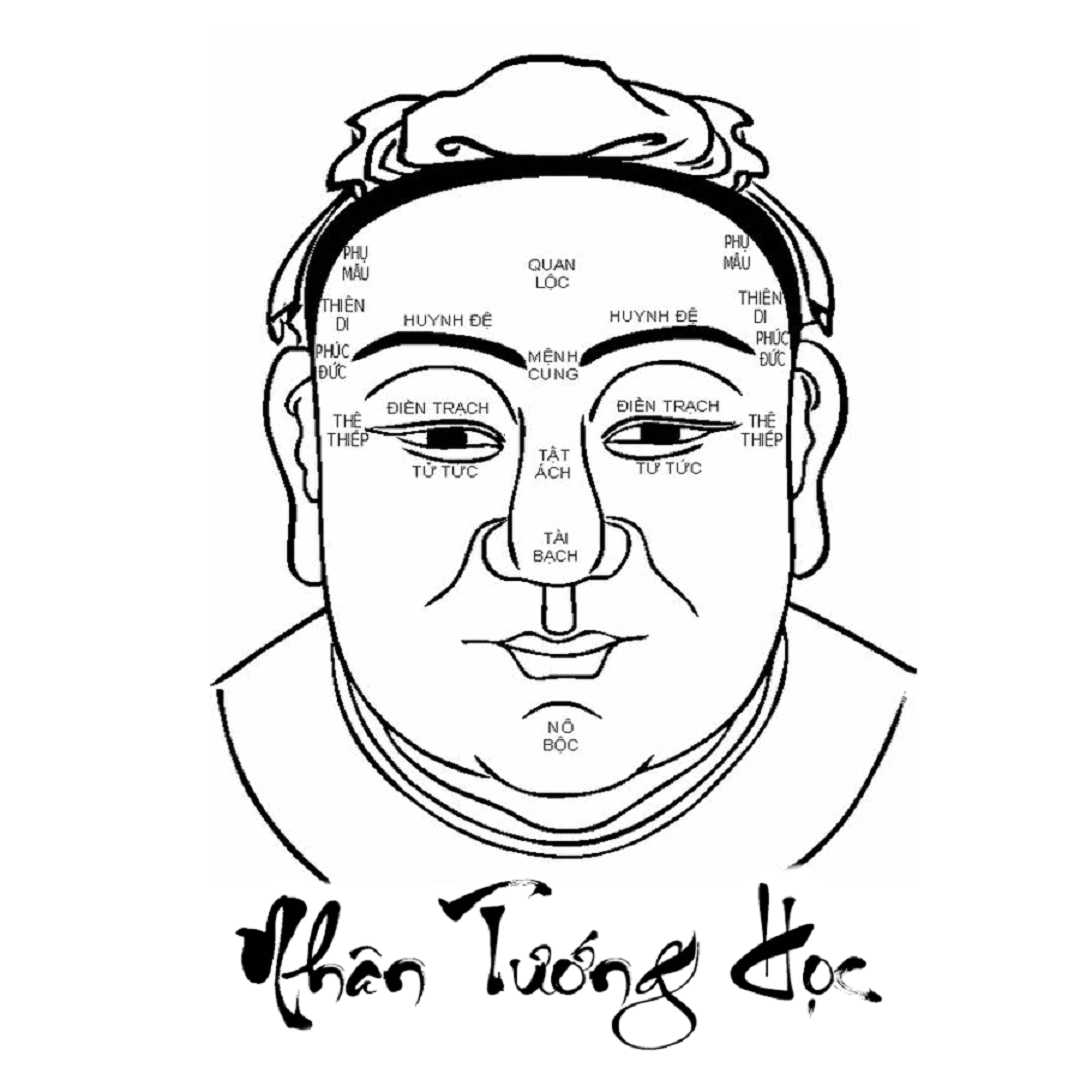 Vai trò của nhân tướng học trong cuộc sống