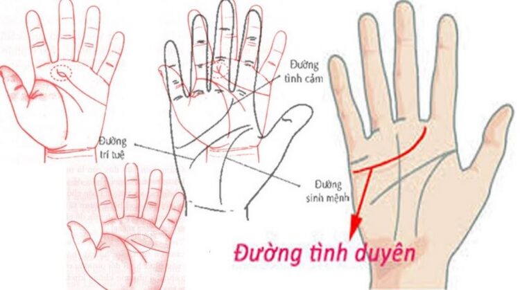 Quy trình xem bói chỉ tay đơn giản