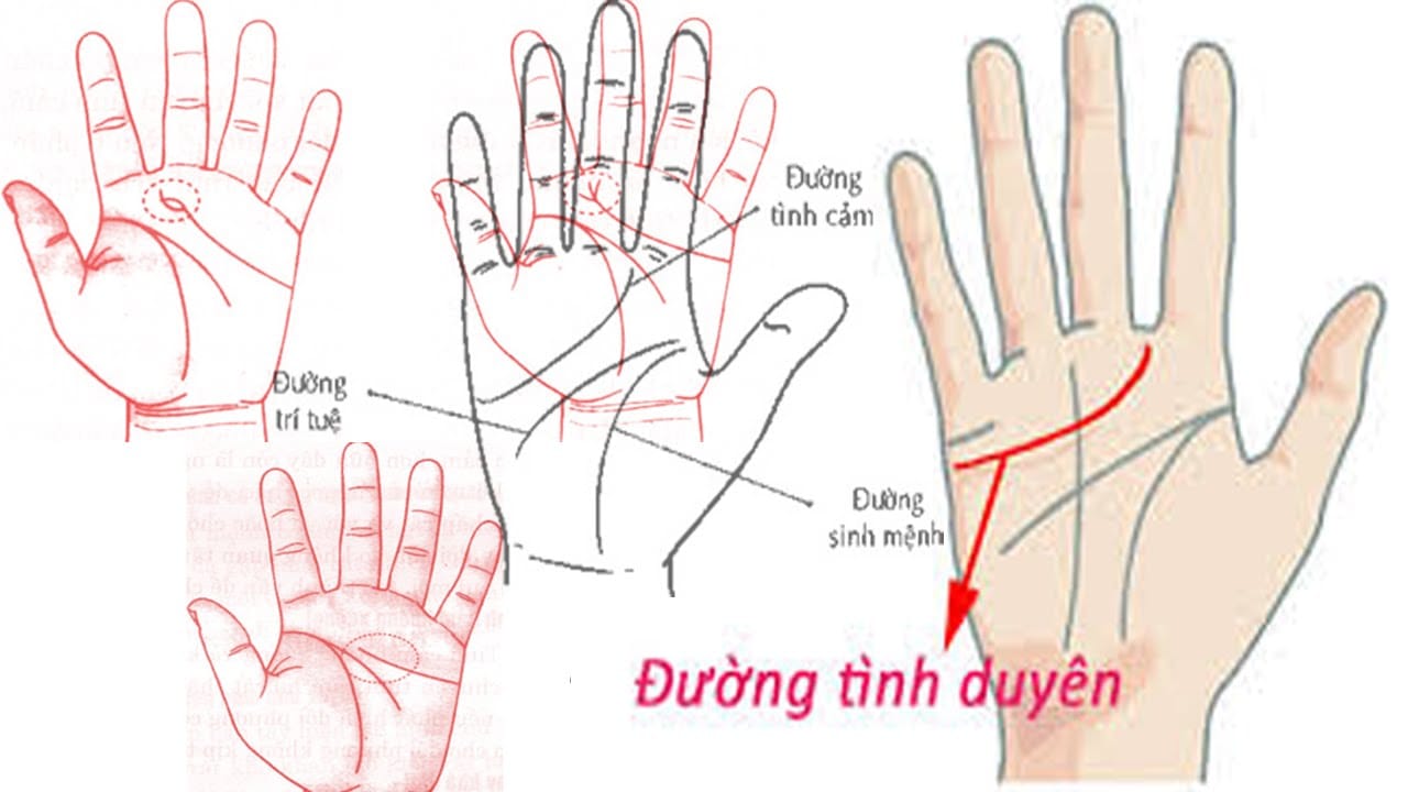 Cách xem chỉ tay đơn giản