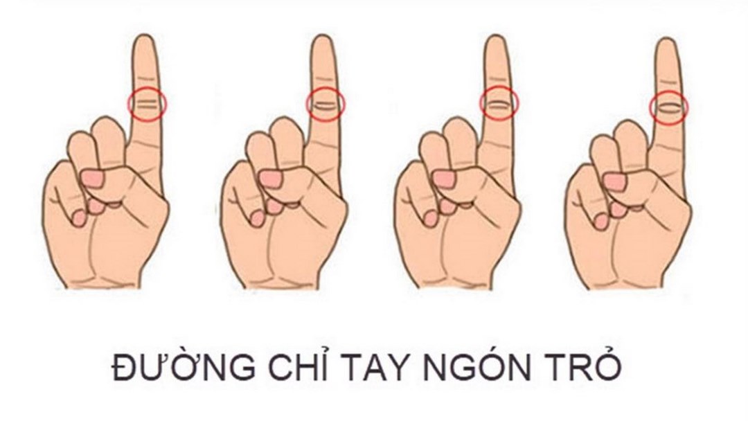 Cách xem bói chỉ tay cho nam giới