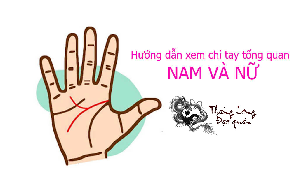 Xem bói đường chỉ tay trên bàn tay