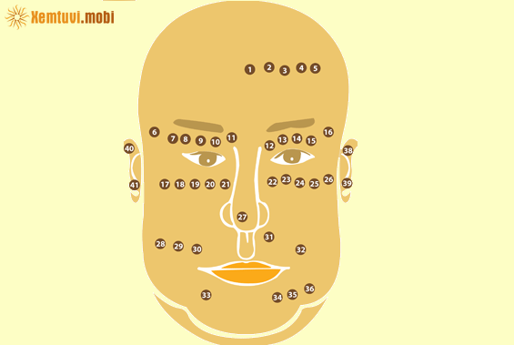 Sơ đồ ý nghĩa nốt ruồi mặt nữ