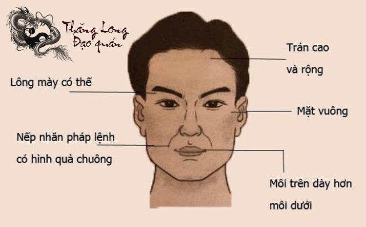 Hình minh họa về xem tướng mặt