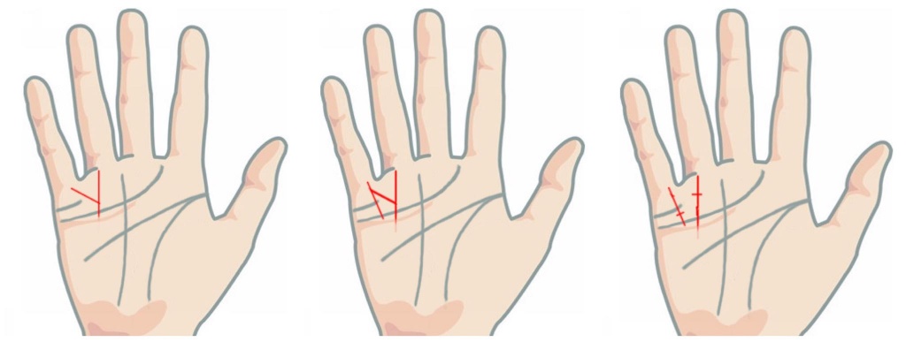 Cách xem các đường chỉ tay cơ bản