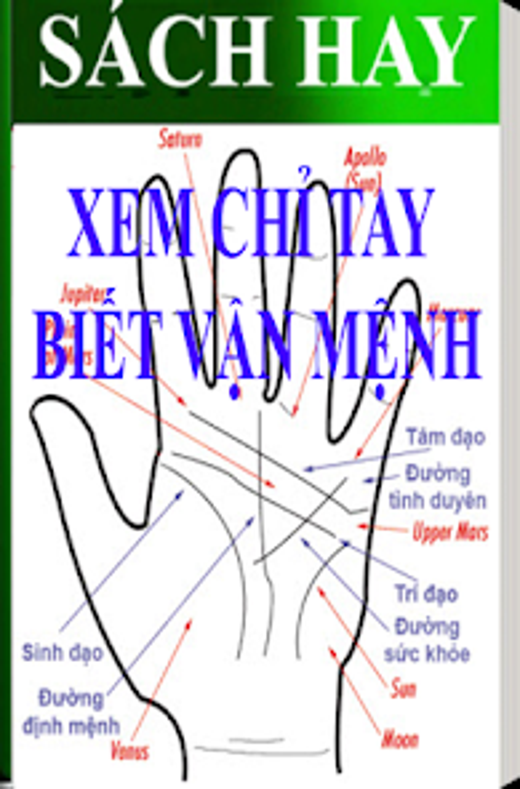 Ảnh minh họa xem chỉ tay trên điện thoại