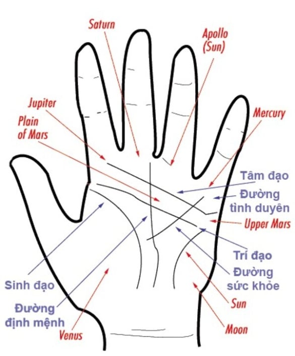 Phân tích ý nghĩa chỉ tay
