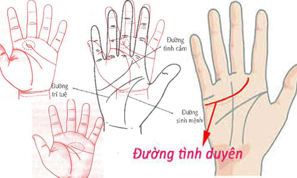 Xem chỉ tay đoán số lần kết hôn