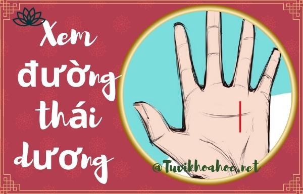 Phân tích chỉ tay chữ M