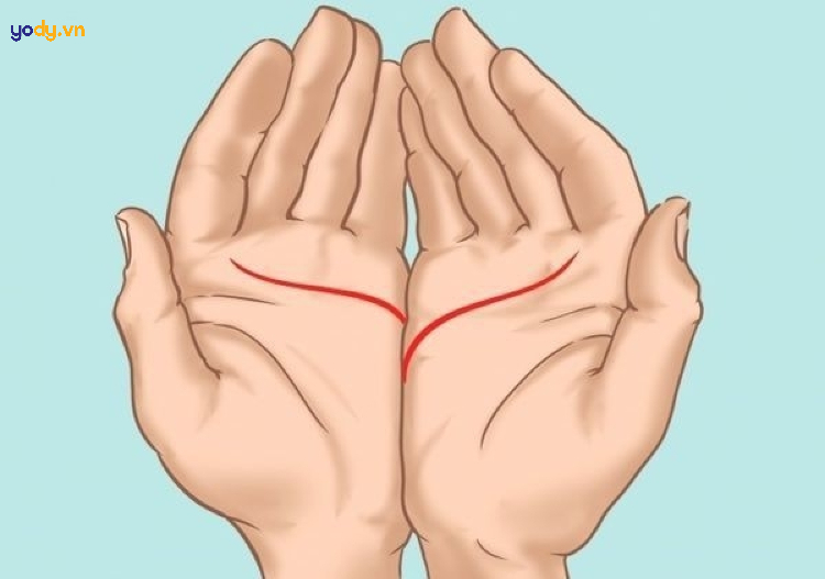 Minh họa cách xem chỉ tay nam