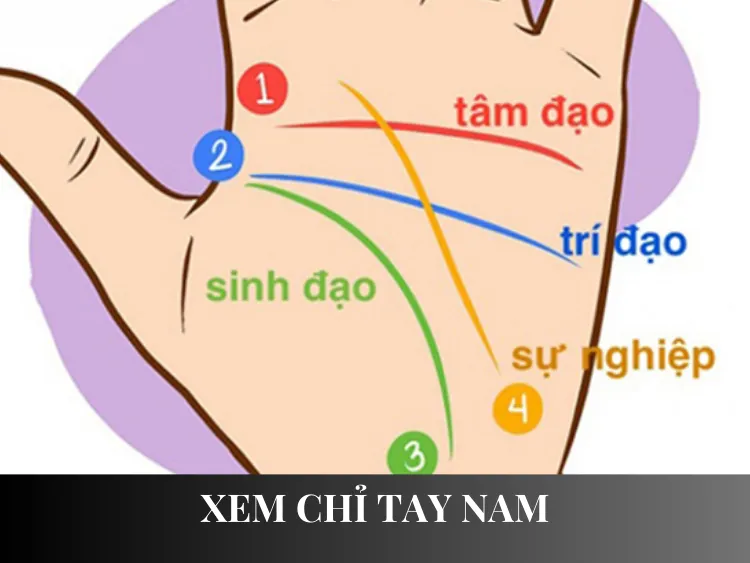 Bàn tay nam với các đường chỉ tay
