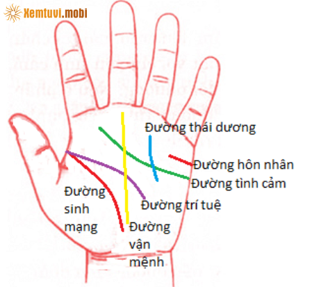 Xem tướng bàn tay có hình minh họa