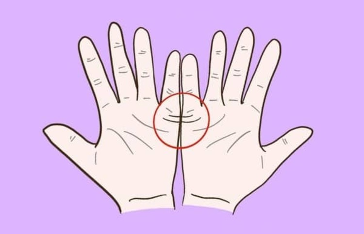 Phân tích chỉ tay nữ qua hình ảnh
