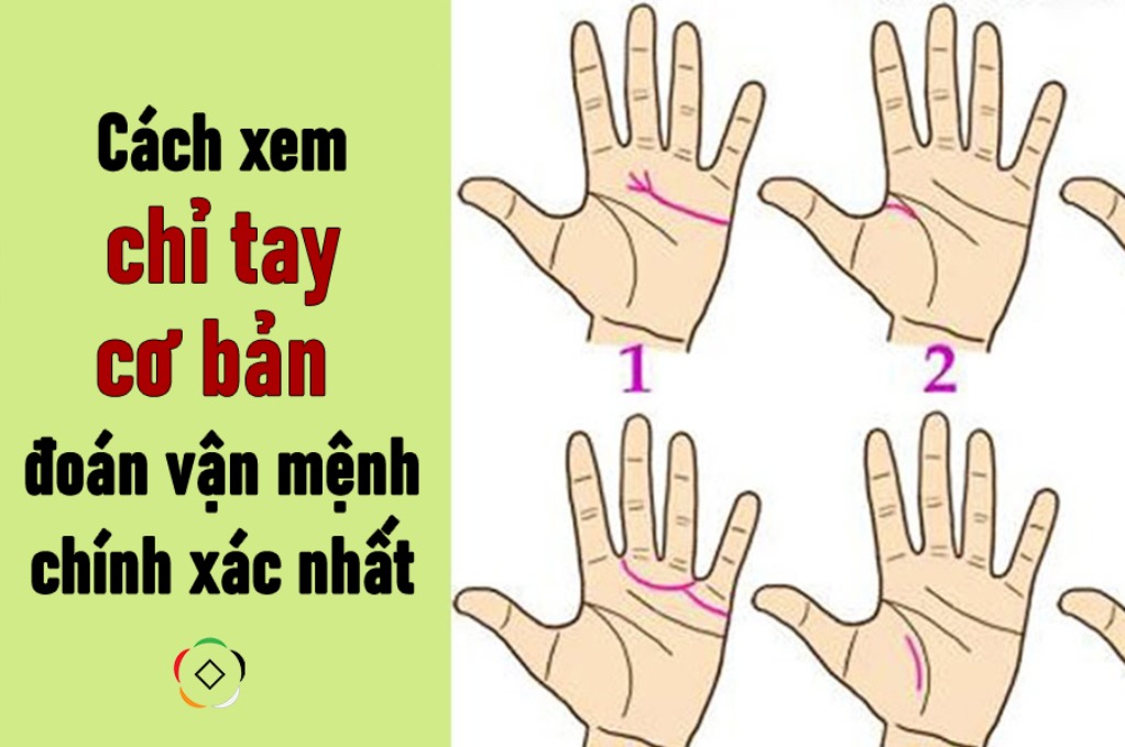 Hình minh họa xem chỉ tay nam nữ