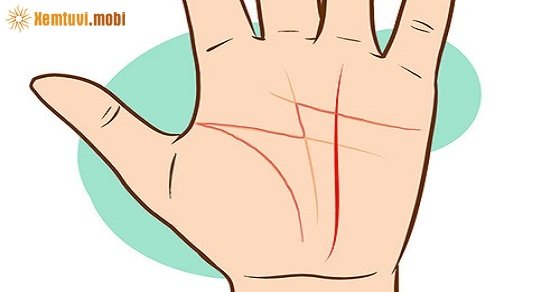Ví dụ chỉ tay hình chữ M